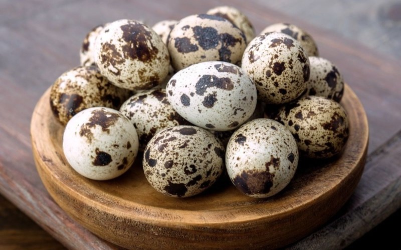 Nằm mơ thấy trứng cút đánh con gì?